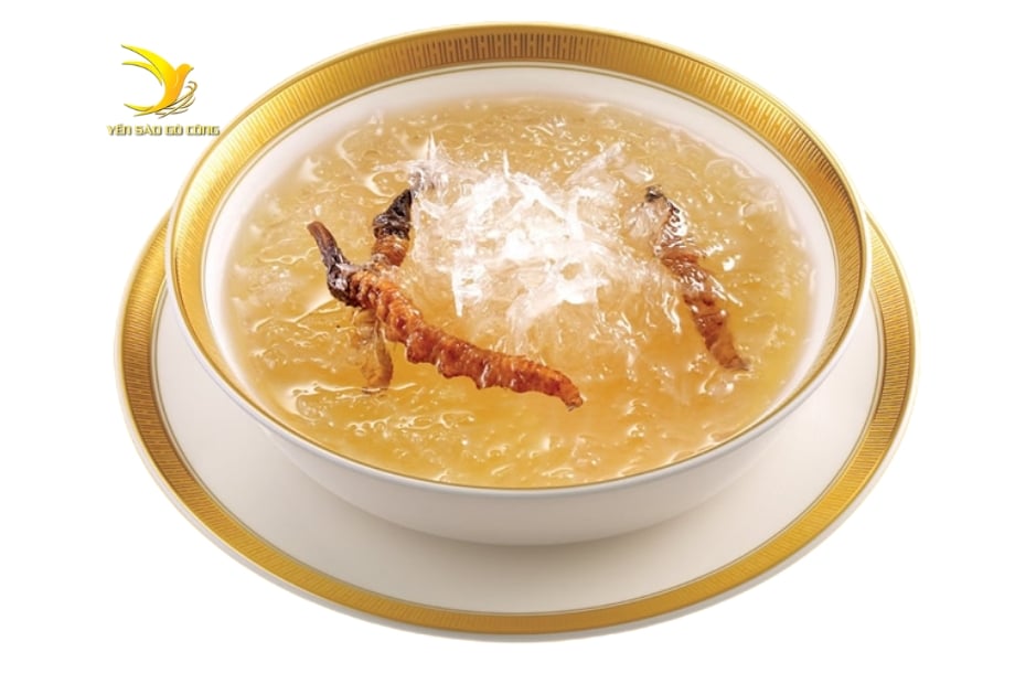ysgc_cong-dung-yen-chung