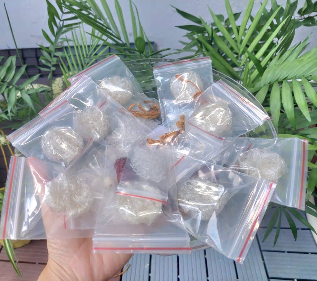 ysgc_yen-vien-1