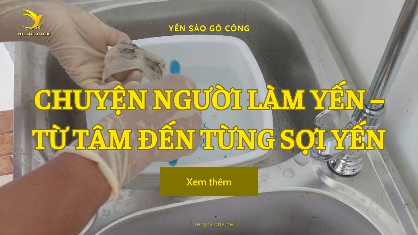CHUYỆN NGƯỜI LÀM YẾN – TỪ TÂM ĐẾN TỪNG SỢI YẾN